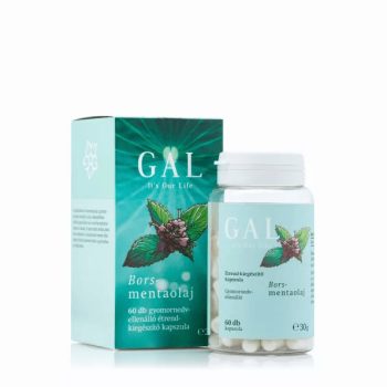 GAL BORSMENTAOLAJ #48