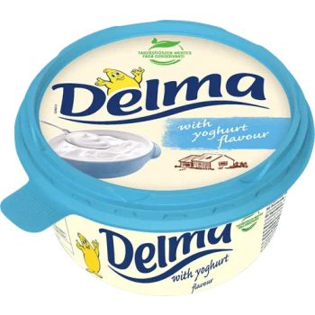 DELMA JOGHURT 450G #12